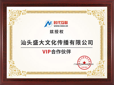 40公司：时代互联VIP合作伙伴.jpg