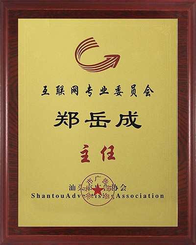 1组织：互联网专业委员会.jpg